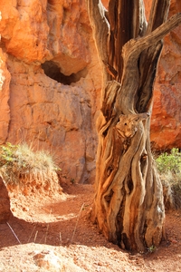 Bryce Canyon textures