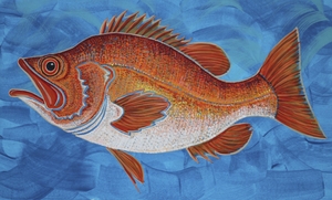 Deepwater Red Fish acrylic painting