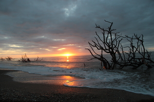 Sunrise at Botany Bay, Edisto Beach